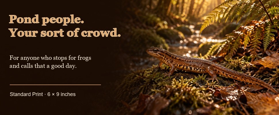 Amphibians word search banner