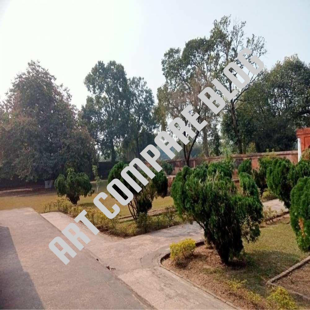 Curved Concrete Walkway Through Manicured Garden with Trimmed Evergreen Shrubs - Khushbagh Cemetery Park, Murshidabad
