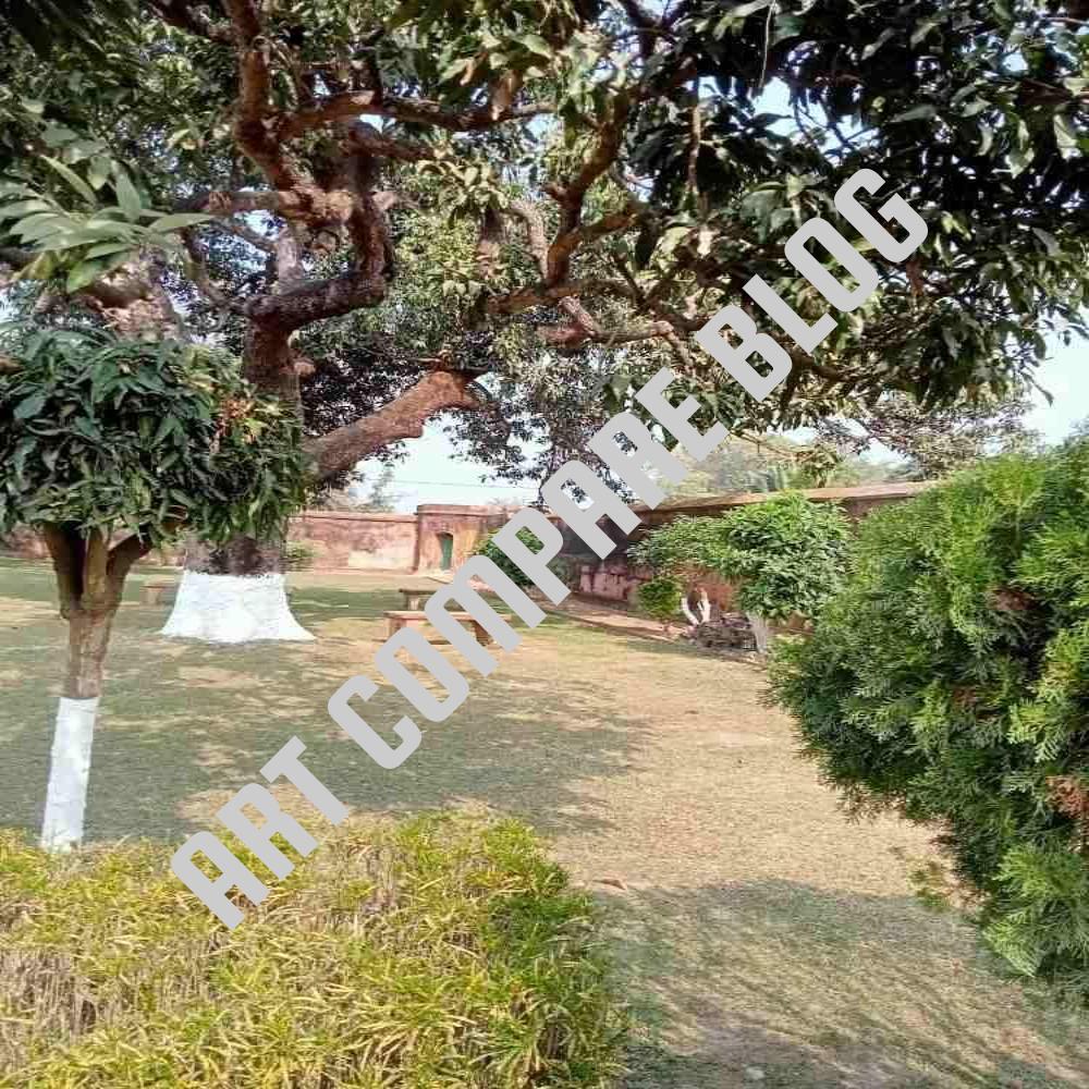 Quiet Shaded Garden Corner with Large Mango Trees and Brick Benches Inside Khushbagh Cemetery Boundary Wall - Murshidabad