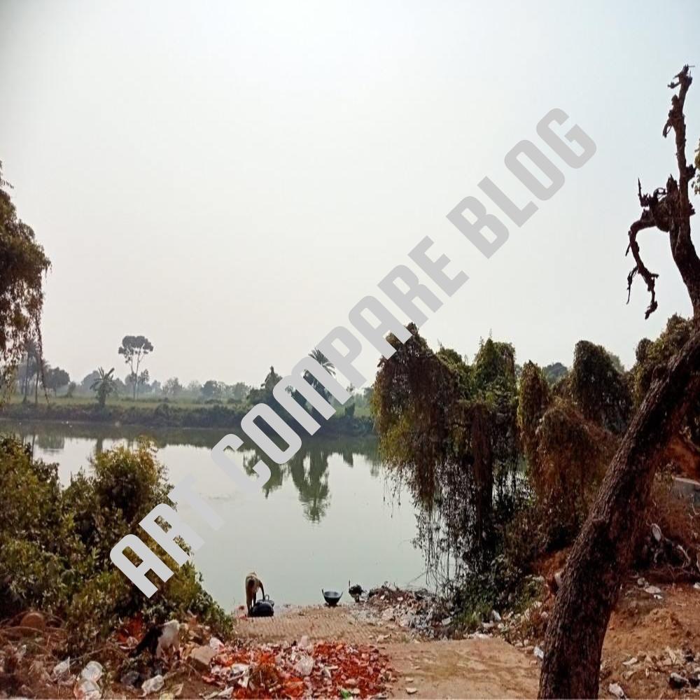 Calm River Water with Reflection of Trees and Person Washing at Bank Surrounded by Lush Greenery - Murshidabad Riverside Scene