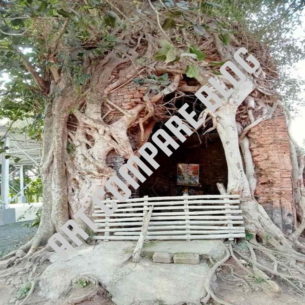 Ancient Abandoned Brick Temple Entrance Covered with Thick Tree Roots and Wooden Bamboo Barrier at Front - Murshidabad Heritage Ruins