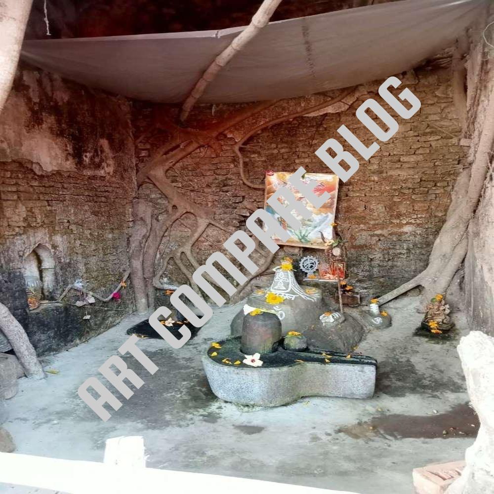 Shiva Lingam Shrines with Marigold Flowers Inside Ancient Tree Root Covered Brick Temple Interior - Murshidabad Sacred Ruins