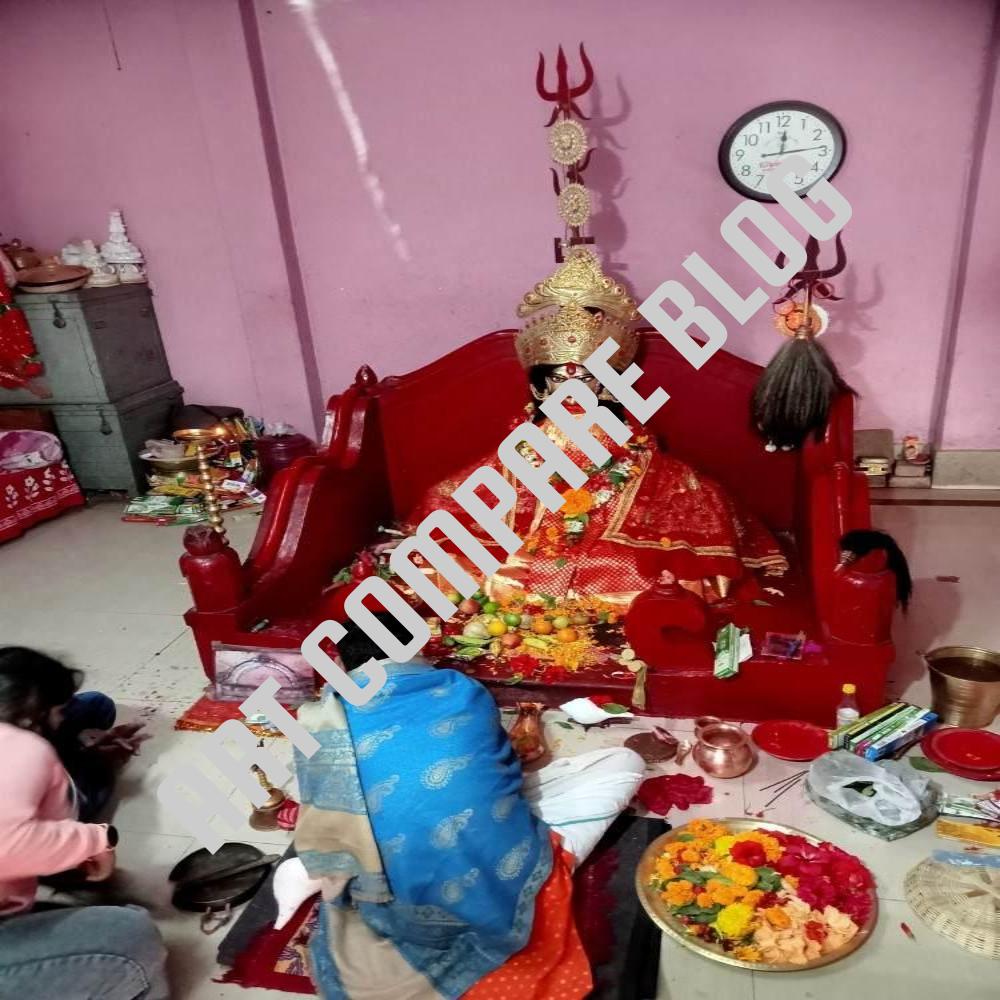Priest Performing Puja Ritual Before Goddess Durga Idol Decorated with Flowers on Red Throne Inside Temple Sanctum - Murshidabad