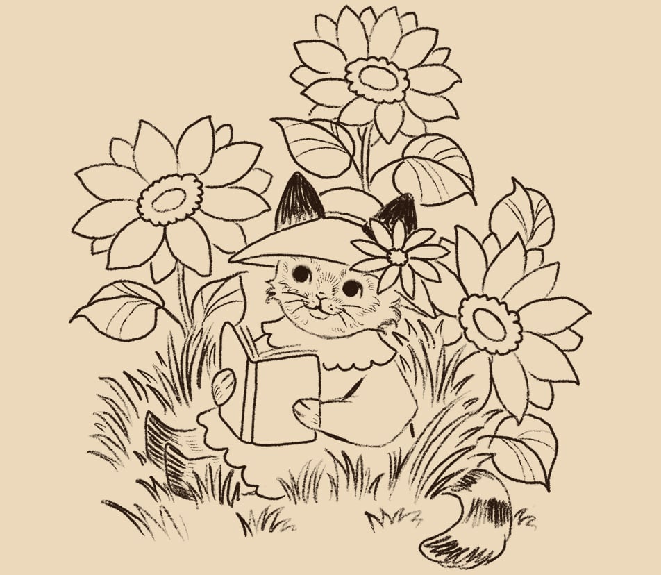 Cute summer cat reading procreate drawing with sketch pencil brush pack