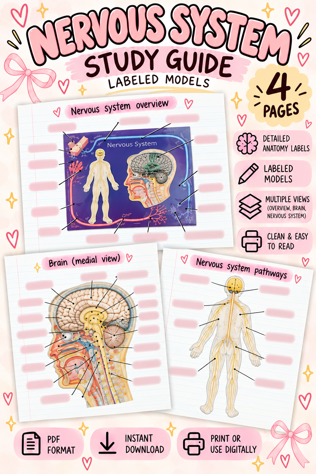 The Nervous System Board Bundle - Payhip