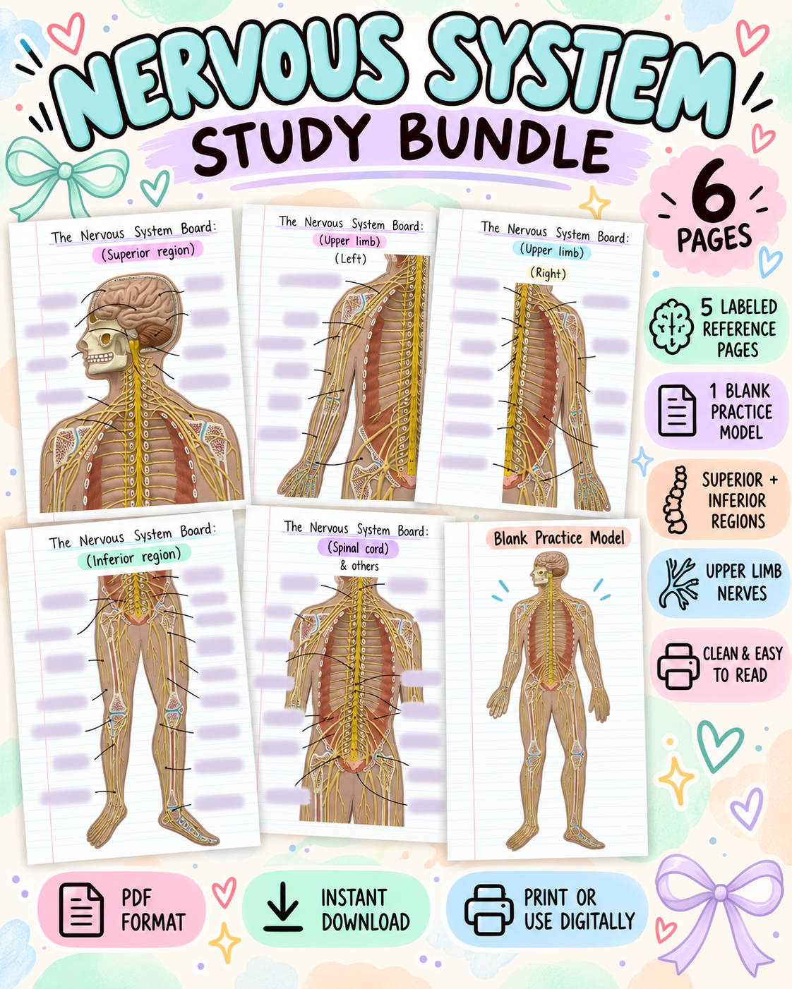 The Nervous System Bundle - Payhip