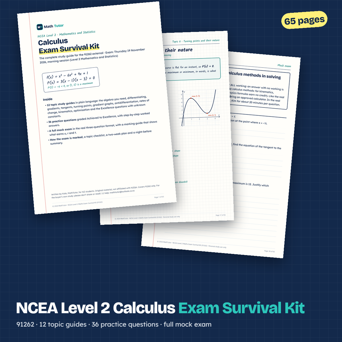 NCEA Level 2 Maths Exam Survival Kit (91262) - Payhip