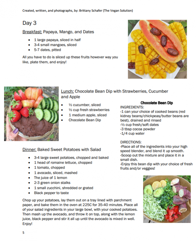 7 Day Nutritious Plant Based Meal Plan High Raw Gluten Free