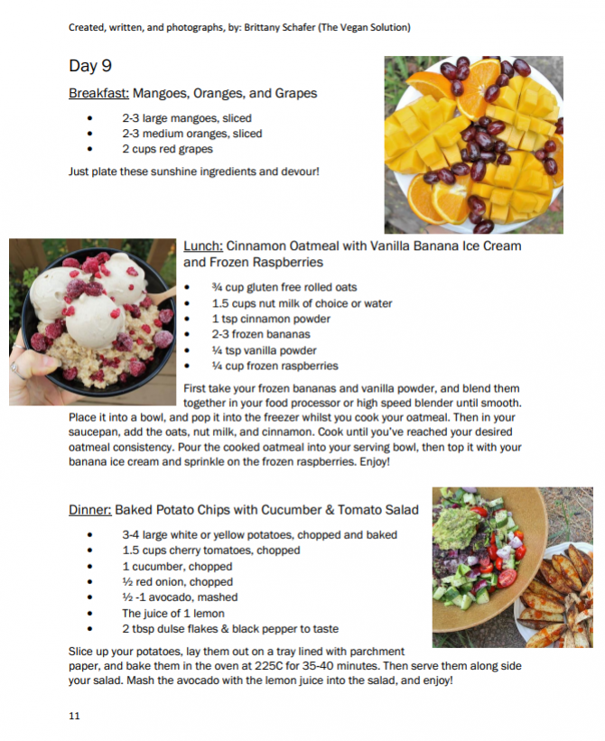 28-day-nutritious-plant-based-meal-plan-high-raw-gluten-free-edition